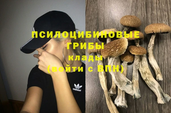 синтетический гашиш Абинск