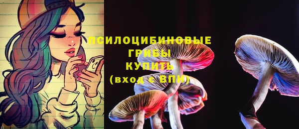 бошки Абаза