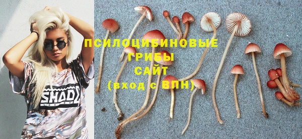 бошки Абаза
